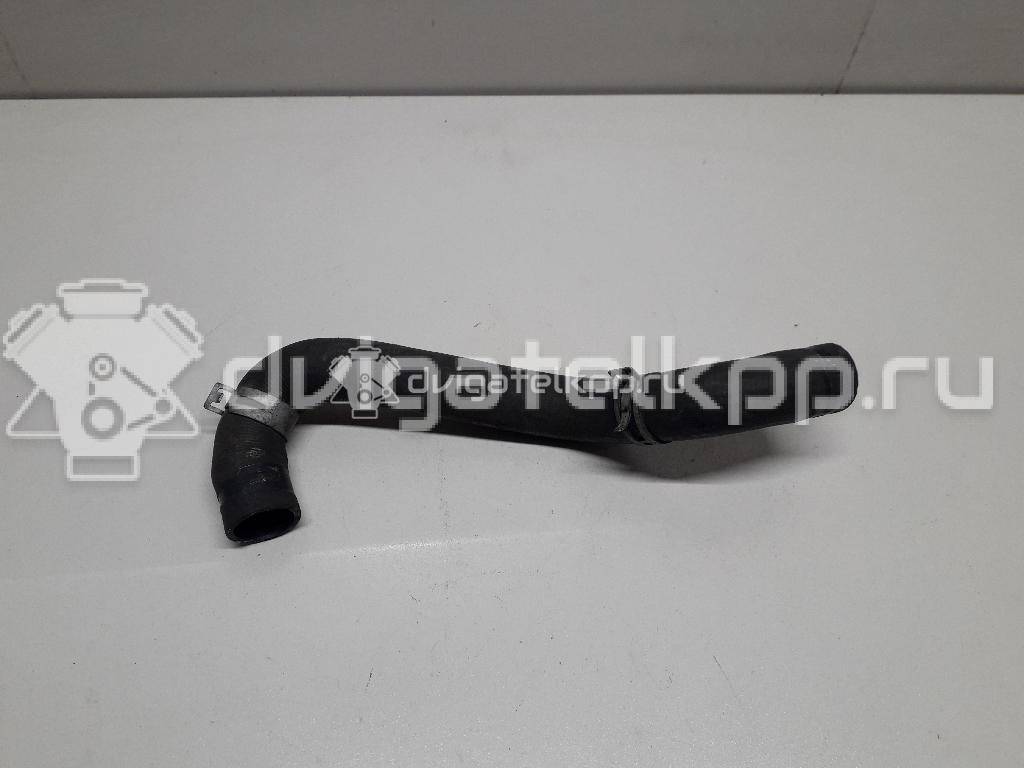 Фото Патрубок радиатора  21501ax800 для Nissan Note / Micra {forloop.counter}}