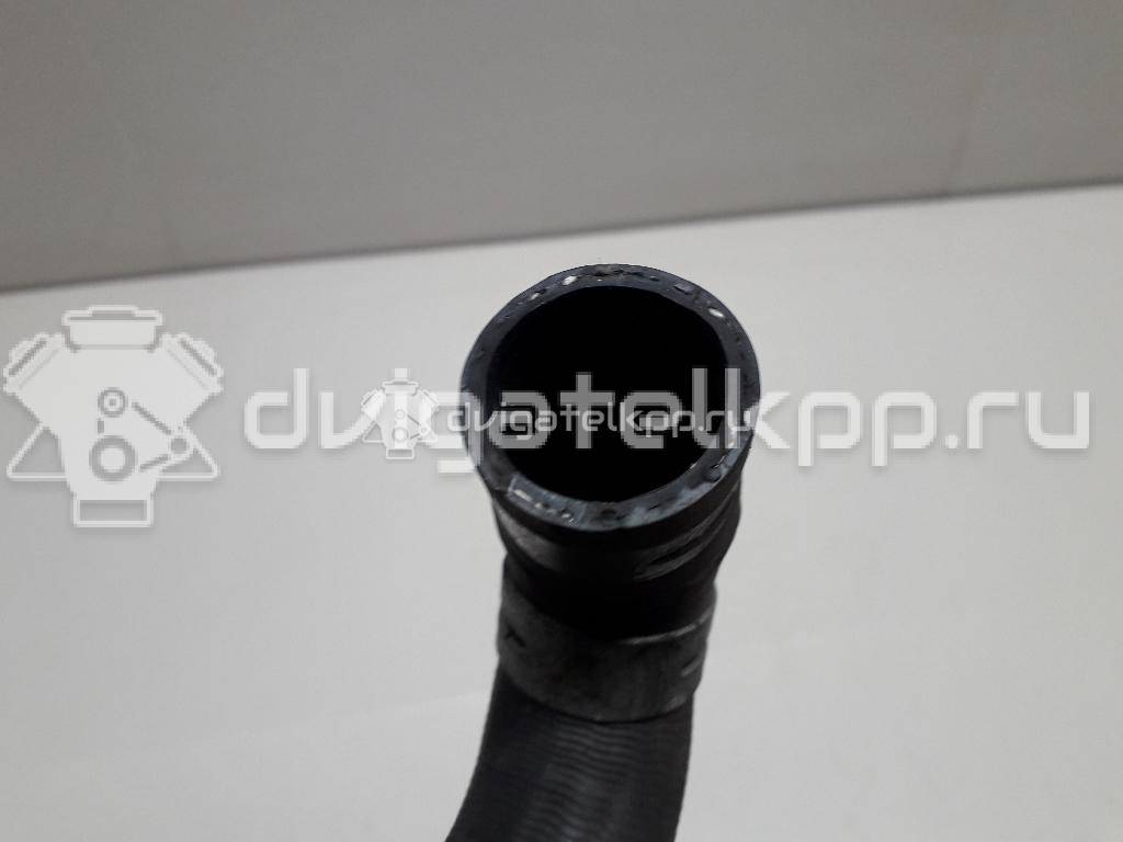 Фото Патрубок радиатора  21501ax800 для Nissan Note / Micra {forloop.counter}}