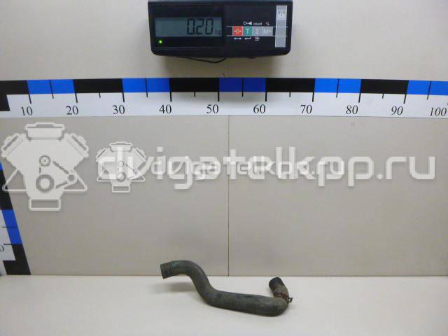 Фото Патрубок радиатора  21501ax800 для Nissan Note / Micra {forloop.counter}}