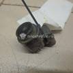 Фото Датчик парковки  28438BG00A для Nissan Qashqai / Micra {forloop.counter}}
