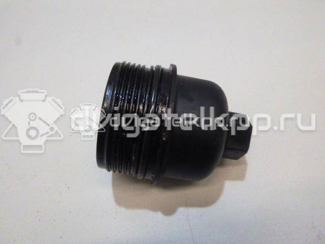 Фото Крышка масляного фильтра  1520100Q0A для Nissan Primastar X83 / X-Trail / Qashqai {forloop.counter}}