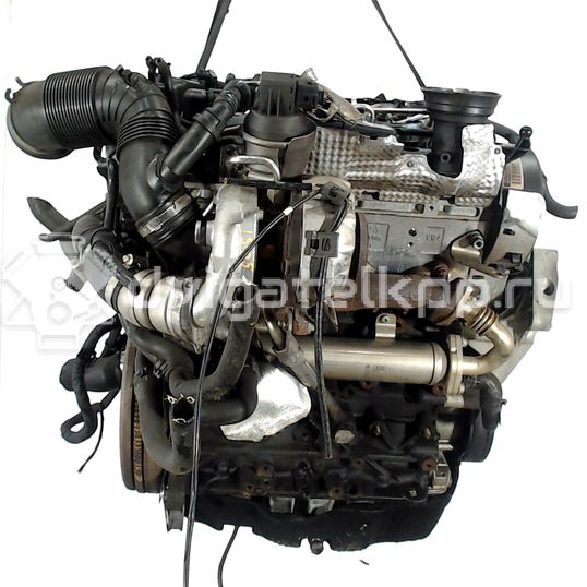 Фото Контрактный (б/у) двигатель CBDC для Volkswagen Passat 110 л.с 16V 2.0 л Дизельное топливо 03L100033S