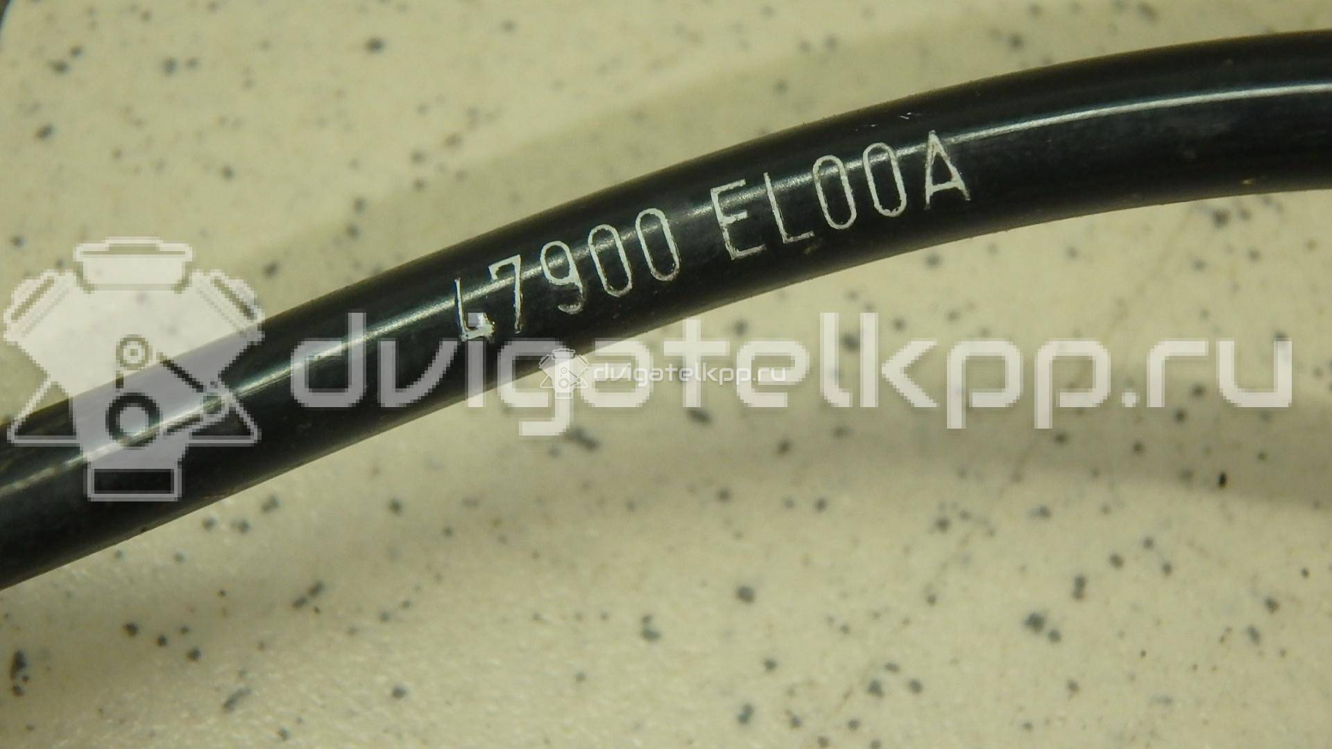Фото Датчик ABS задний правый  47900el00a для Nissan Tiida {forloop.counter}}