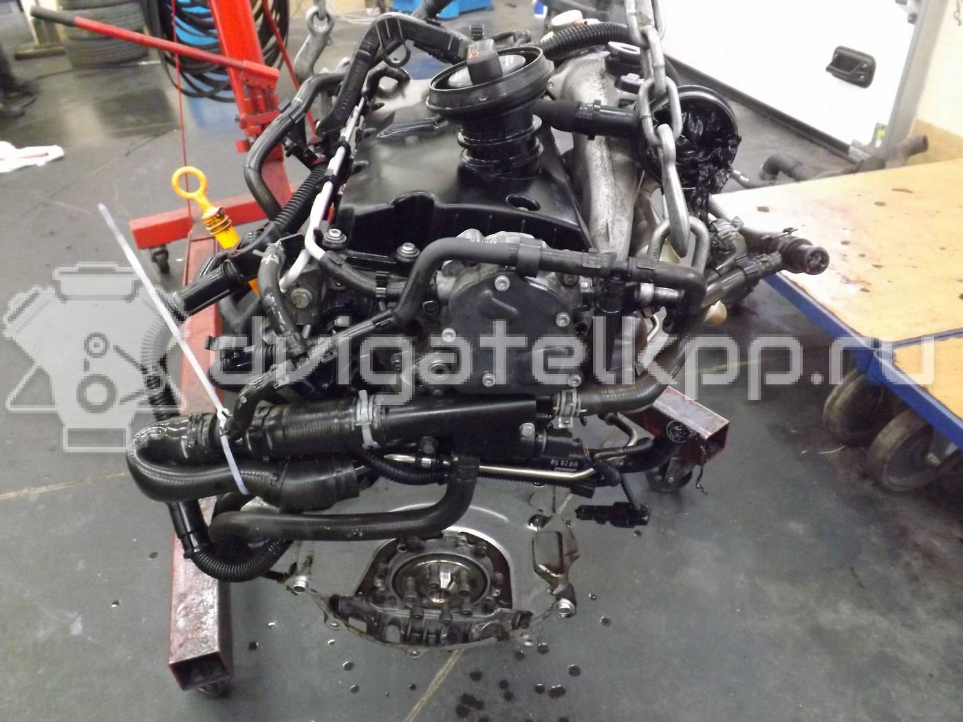 Фото Контрактный (б/у) двигатель AXR для Volkswagen / Seat 100 л.с 8V 1.9 л Дизельное топливо 038100040G {forloop.counter}}