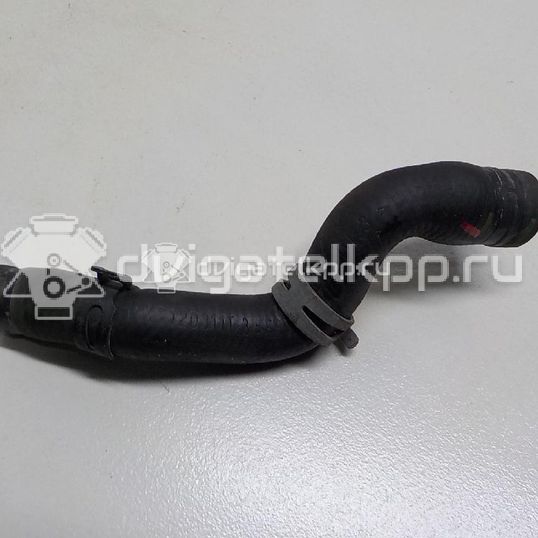 Фото Шланг системы охлаждения  5N0121109C для vw Tiguan