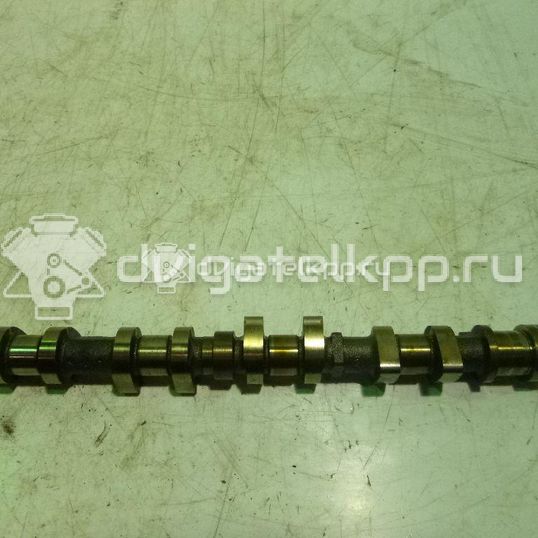 Фото Распредвал впускной для двигателя TU5JP4 для Nissan (Zhengzhou) / Peugeot (Df-Psa) 106 л.с 16V 1.6 л бензин 0801Z0