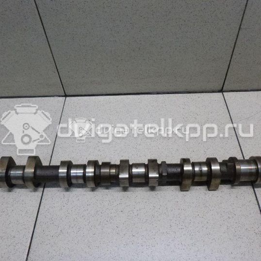 Фото Распредвал впускной для двигателя TU5JP4 для Nissan (Zhengzhou) / Peugeot (Df-Psa) 106 л.с 16V 1.6 л бензин 0801Z0