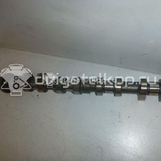 Фото Распредвал впускной для двигателя TU5JP4 для Nissan (Zhengzhou) / Peugeot (Df-Psa) 106 л.с 16V 1.6 л бензин 0801Z0