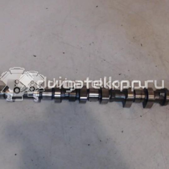 Фото Распредвал впускной для двигателя TU5JP4 для Nissan (Zhengzhou) / Peugeot (Df-Psa) 106 л.с 16V 1.6 л бензин 0801Z0