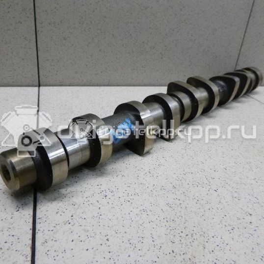 Фото Распредвал впускной для двигателя TU5JP4 для Nissan (Zhengzhou) / Peugeot (Df-Psa) 106 л.с 16V 1.6 л бензин 0801Z0