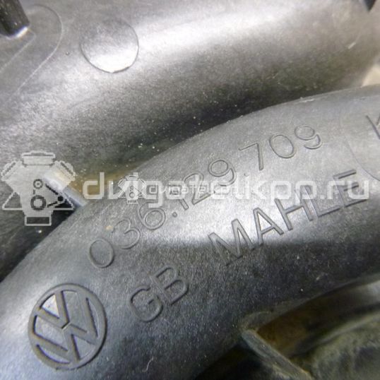 Фото Коллектор впускной  036129709KA для Volkswagen / Seat