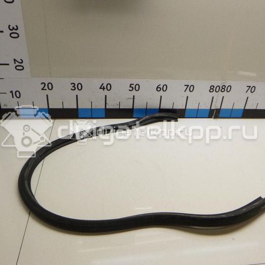 Фото Уплотнитель капота  1Z0823723A для skoda Octavia (A5 1Z-)
