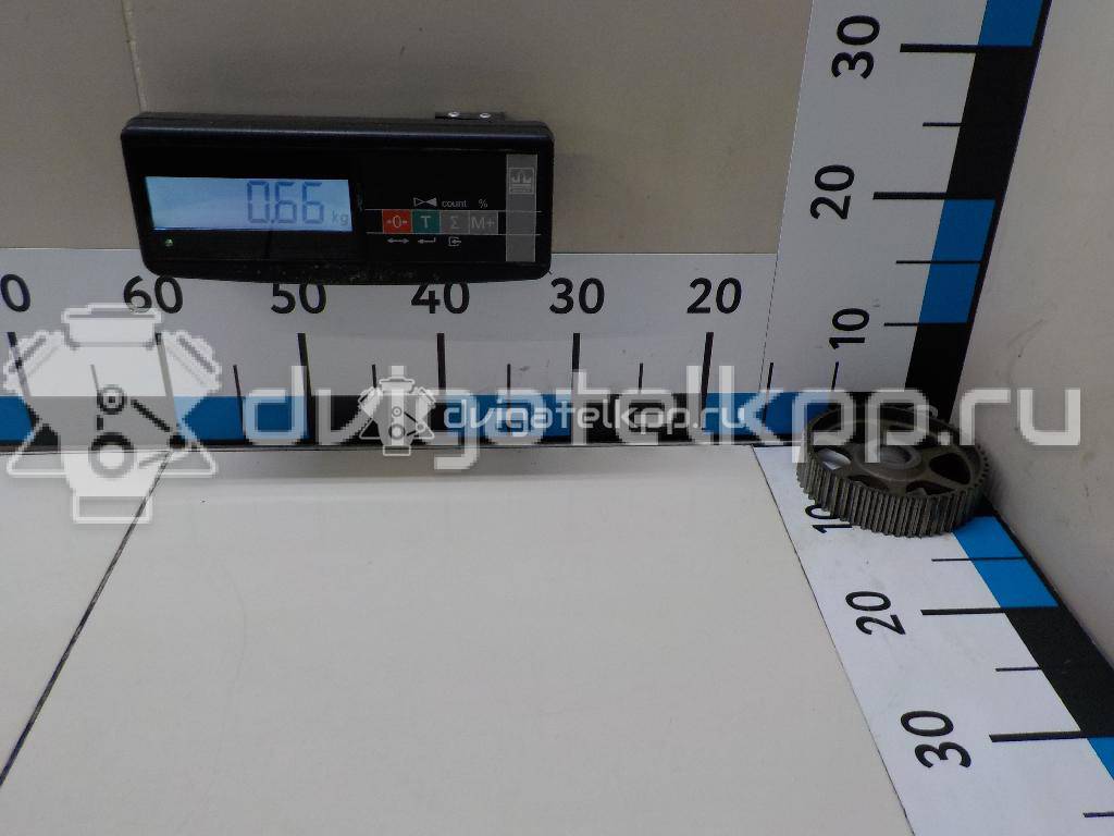Фото Шестерня (шкив) распредвала  078109111B для skoda Superb {forloop.counter}}