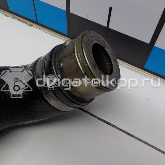 Фото Патрубок интеркулера  для Volkswagen / Seat