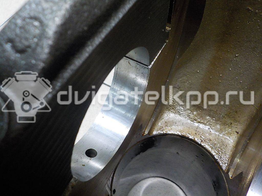 Фото Контрактный (б/у) двигатель BTS для Volkswagen / Skoda / Seat 105 л.с 16V 1.6 л бензин 03C100034T {forloop.counter}}