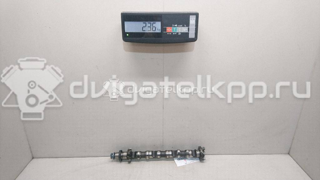 Фото Распредвал впускной  059109021EE для vw Touareg {forloop.counter}}
