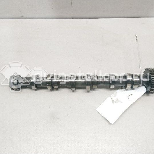 Фото Распредвал выпускной  059109009BL для vw Touareg