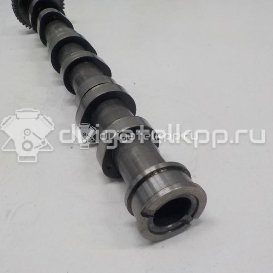 Фото Распредвал выпускной  059109009BL для vw Touareg