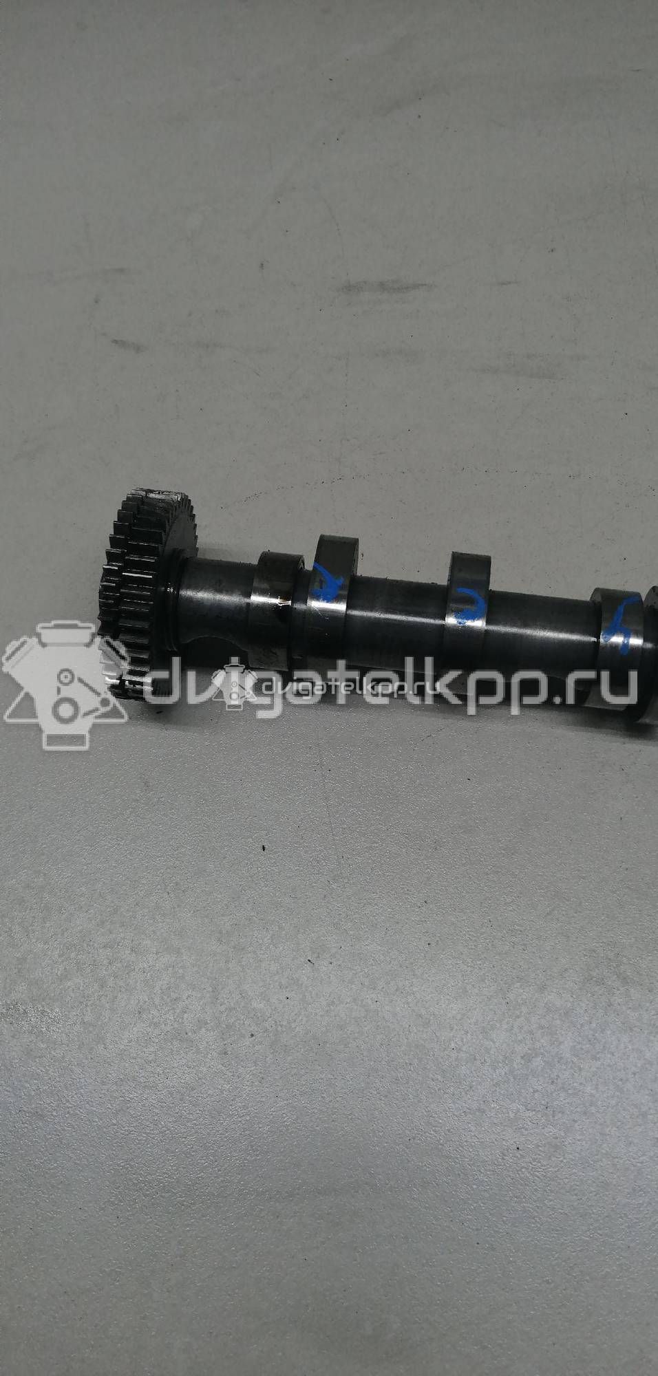 Фото Распредвал выпускной  059109009BL для vw Touareg {forloop.counter}}