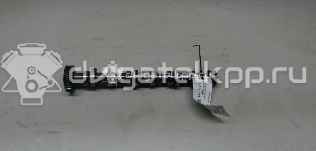 Фото Распредвал выпускной  059109009BL для vw Touareg {forloop.counter}}