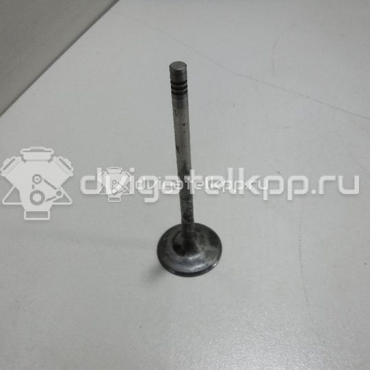 Фото Клапан впускной  06D109601M для Volkswagen Scirocco / Tiguan / Touran / Amarok S1B / Cc