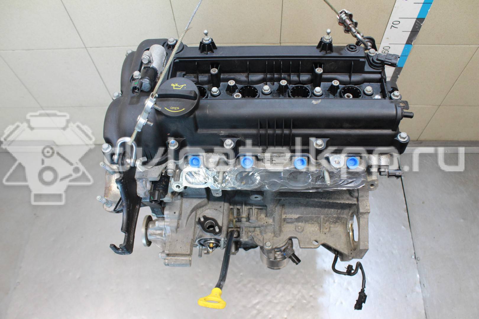 Фото Контрактный (б/у) двигатель G4FG для Hyundai (Beijing) / Hyundai / Kia 123-128 л.с 16V 1.6 л бензин Z71312BZ00 {forloop.counter}}