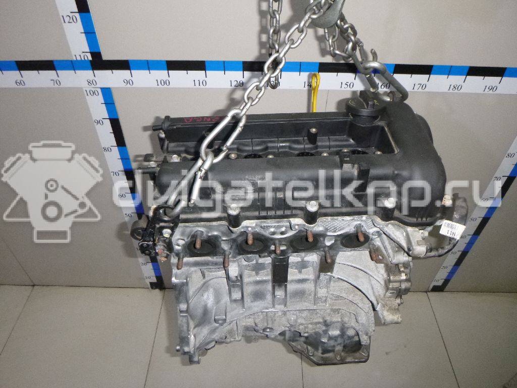 Фото Контрактный (б/у) двигатель G4FA для Hyundai / Kia 90-109 л.с 16V 1.4 л бензин Z56412BZ00 {forloop.counter}}