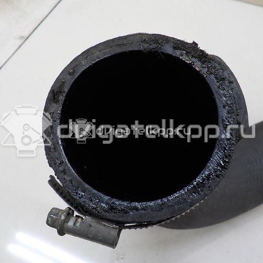 Фото Патрубок интеркулера для двигателя 9HZ (DV6TED4) для Citroen / Peugeot / Mini 90-109 л.с 16V 1.6 л Дизельное топливо 0382EC