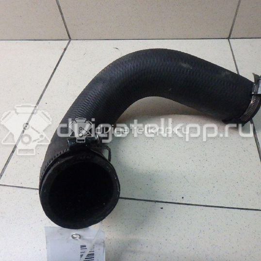 Фото Патрубок интеркулера для двигателя 9HZ (DV6TED4) для Citroen / Peugeot / Mini 90-109 л.с 16V 1.6 л Дизельное топливо 0382EC