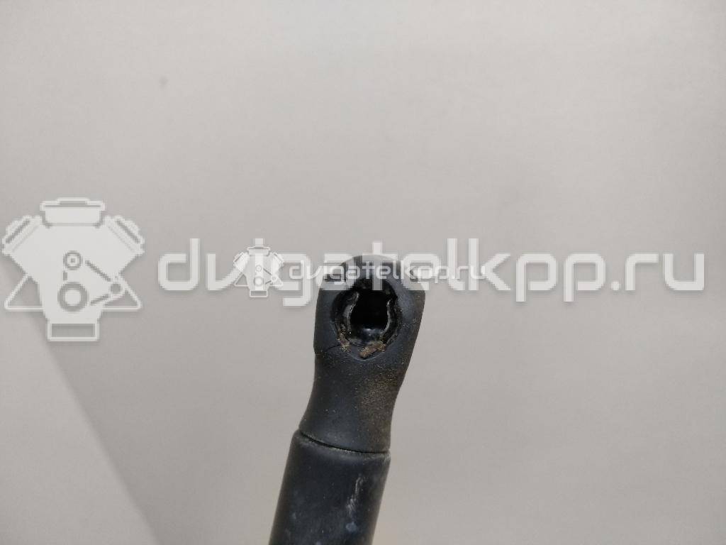 Фото Амортизатор капота  3C0823359A для Volkswagen Passat {forloop.counter}}