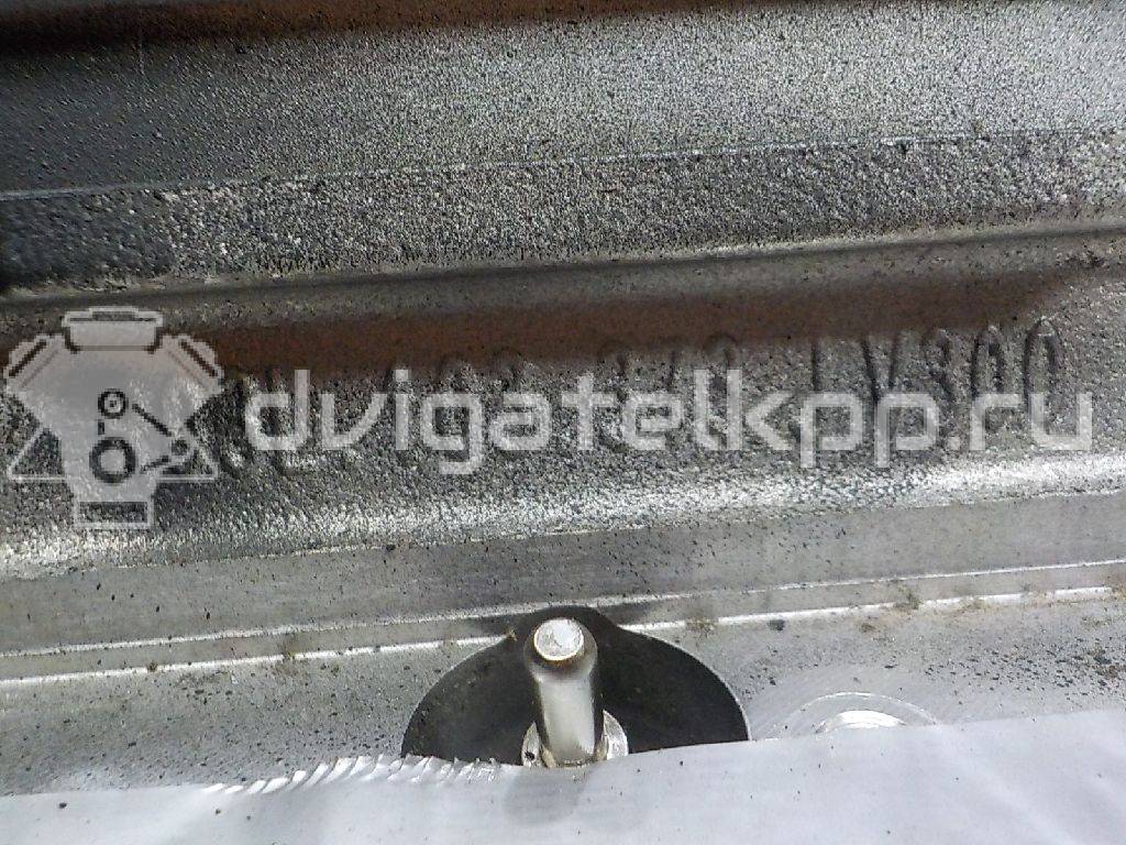 Фото Контрактный (б/у) двигатель CFHC для Volkswagen / Seat 140 л.с 16V 2.0 л Дизельное топливо 03L100091B {forloop.counter}}