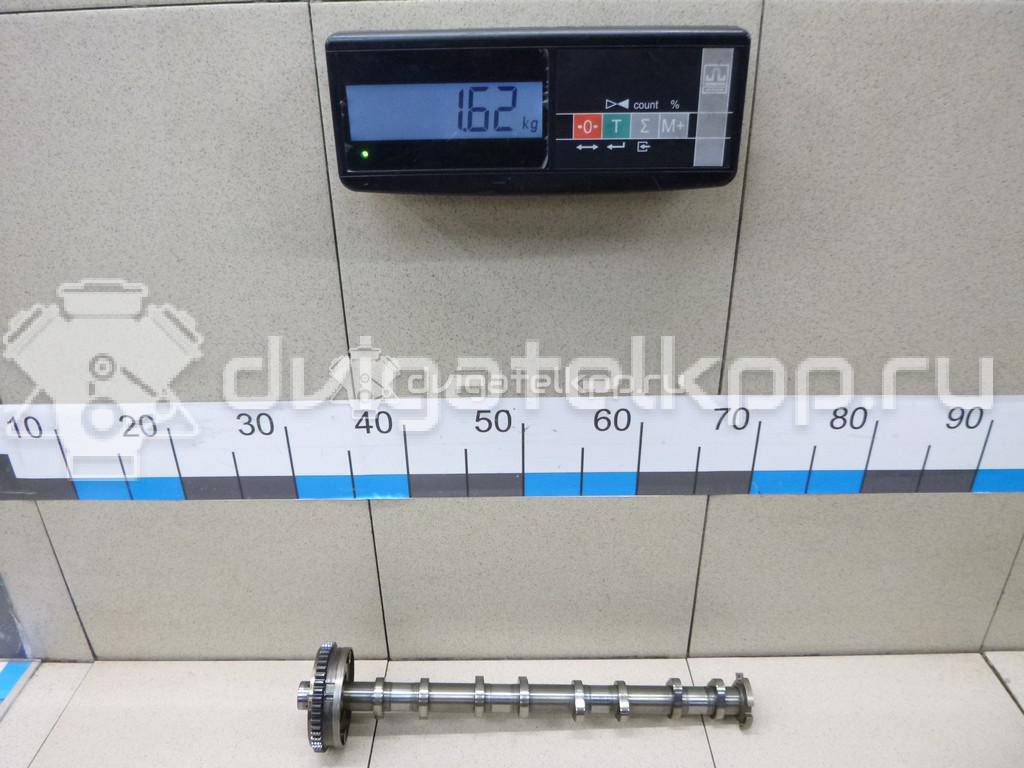 Фото Распредвал впускной  06L109021H для vw Passat [B8] {forloop.counter}}