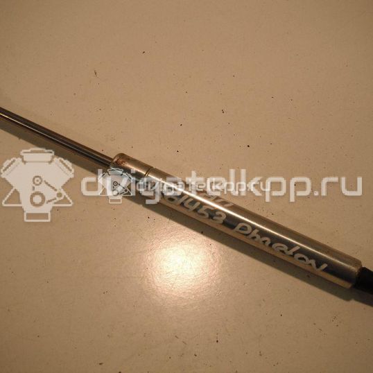 Фото Амортизатор капота  3D0823359B для Volkswagen Phaeton 3D