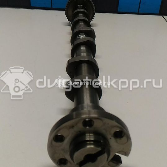 Фото Распредвал впускной  059109009FE для Volkswagen Touareg