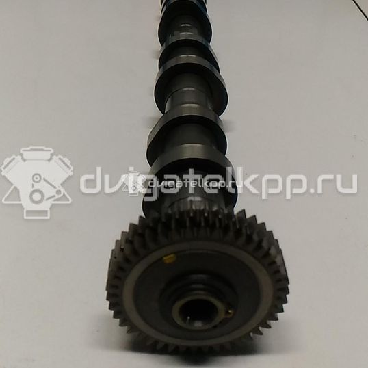 Фото Распредвал выпускной  059109009dk для audi A4 [B8] Allroad