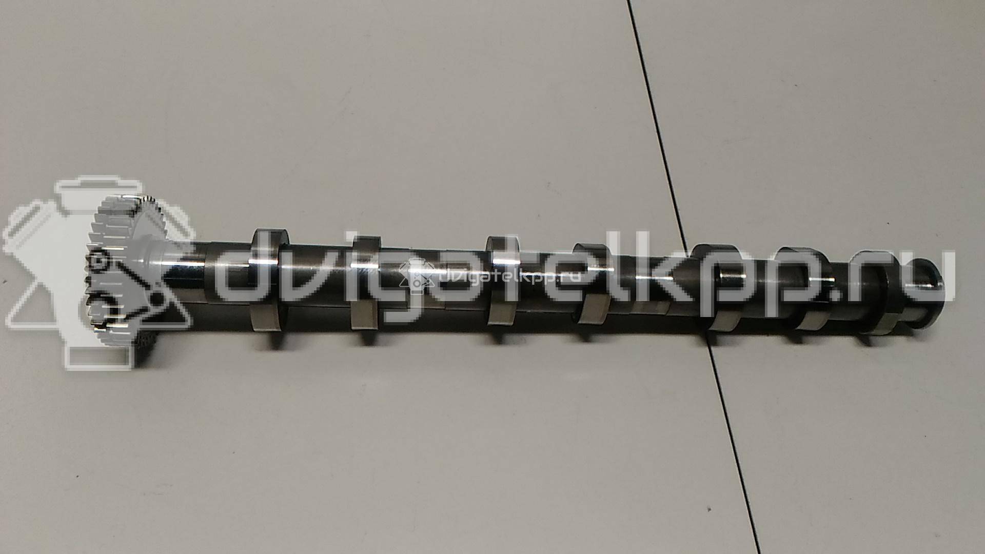 Фото Распредвал выпускной  059109009dk для audi A4 [B8] Allroad {forloop.counter}}