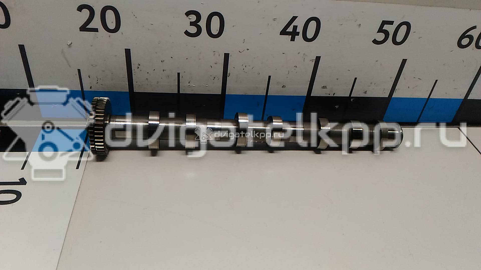 Фото Распредвал выпускной  059109009dk для audi A4 [B8] Allroad {forloop.counter}}