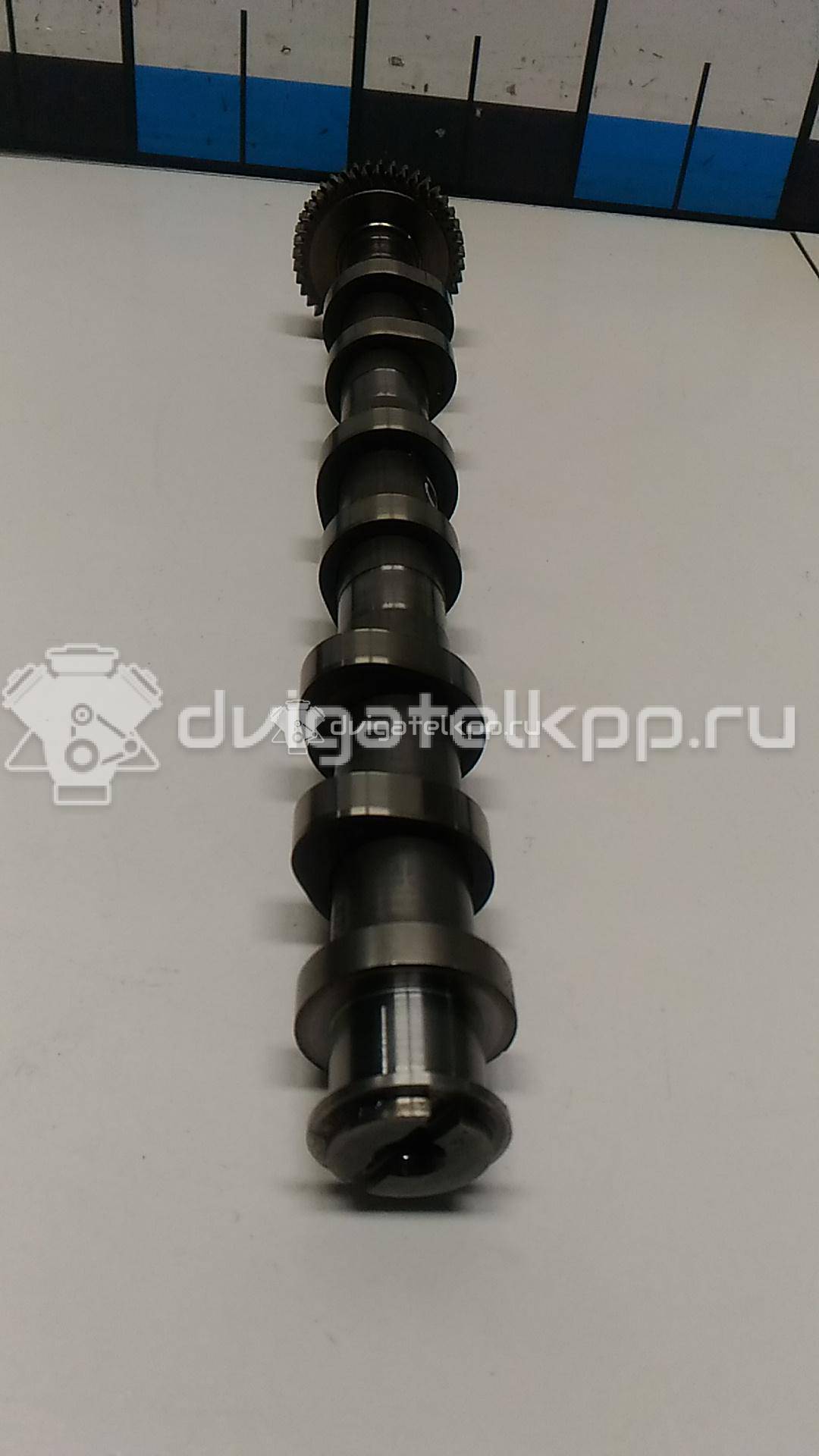 Фото Распредвал выпускной  059109009dk для audi A4 [B8] Allroad {forloop.counter}}