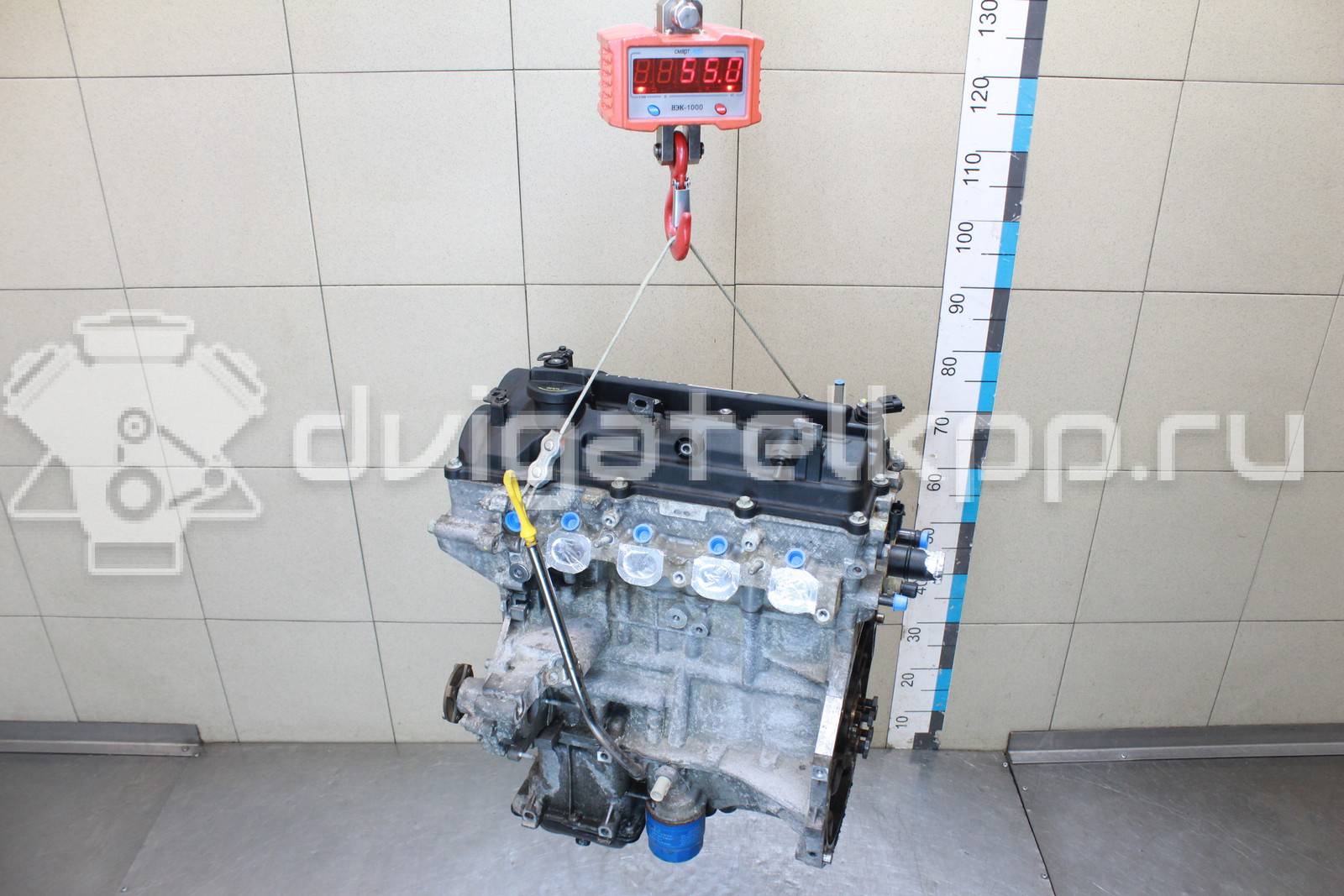 Фото Контрактный (б/у) двигатель G4LA для Hyundai / Kia 69-88 л.с 16V 1.2 л бензин V103103P00 {forloop.counter}}