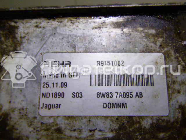 Фото Радиатор масляный  c2p12397 для Jaguar Xj / Xf / Xk / F-Type X152 / F-Pace X761 {forloop.counter}}