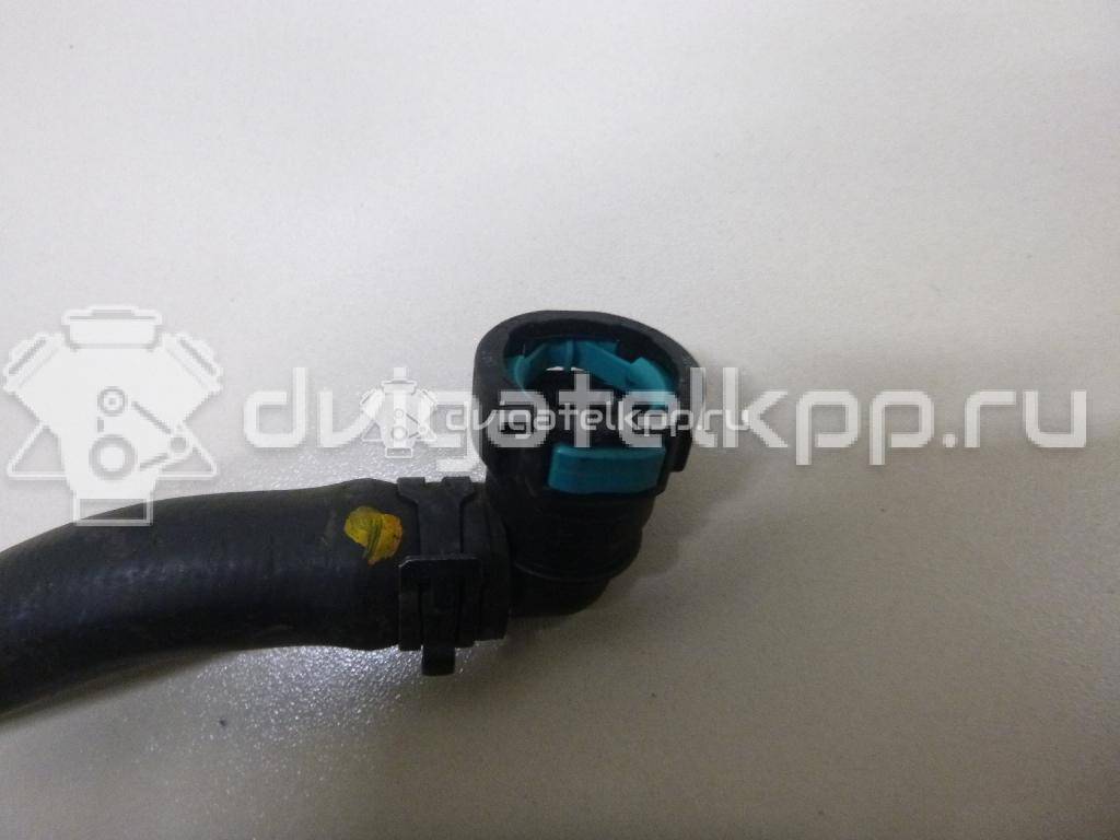Фото Патрубок радиатора  C2D5797 для jaguar XJ {forloop.counter}}