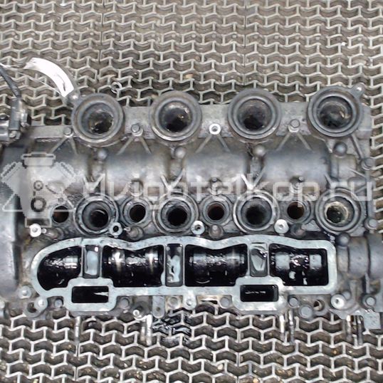 Фото Головка блока  для Ford Focus / C-Max