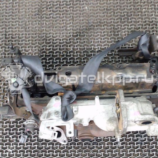 Фото Головка блока  для Ford Focus / C-Max