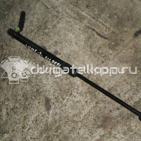 Фото Амортизатор двери багажника  8180162821 для Suzuki Swift