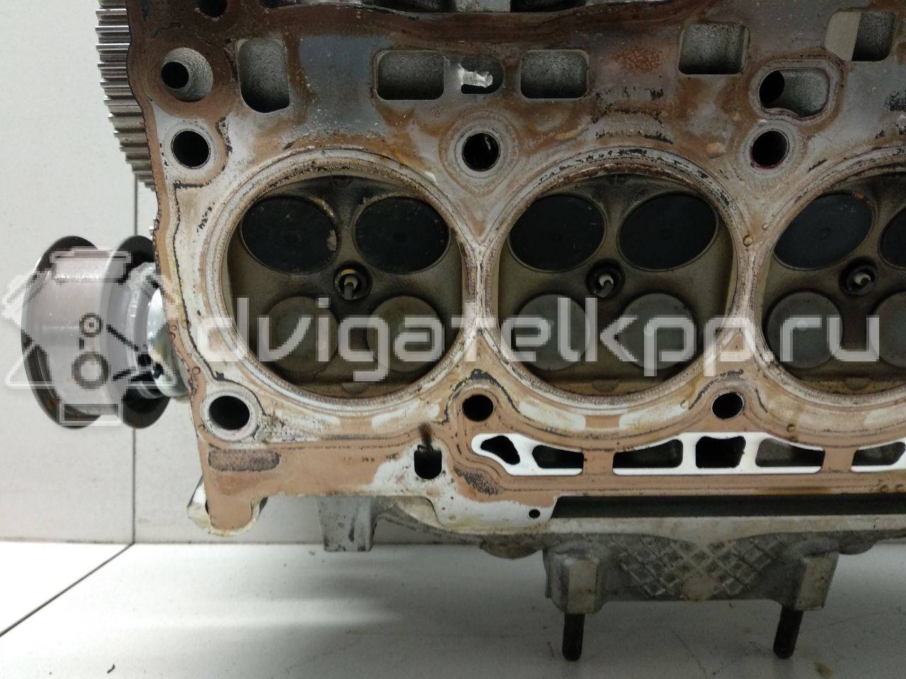 Фото Головка блока  для Skoda / Volkswagen / Audi / Seat {forloop.counter}}