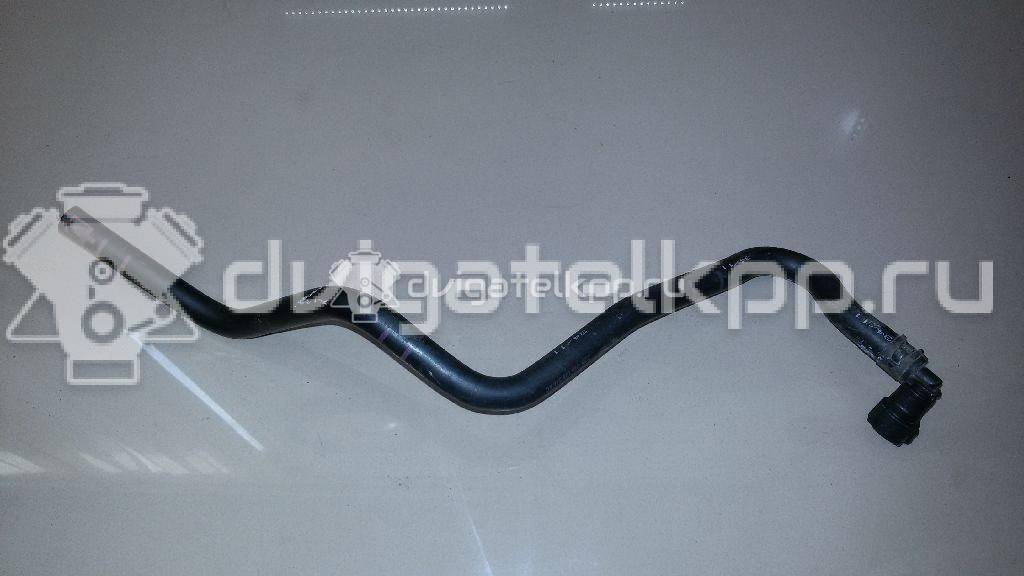 Фото Шланг топливный для двигателя BTS для Volkswagen / Skoda / Seat 105 л.с 16V 1.6 л бензин 036133514E {forloop.counter}}