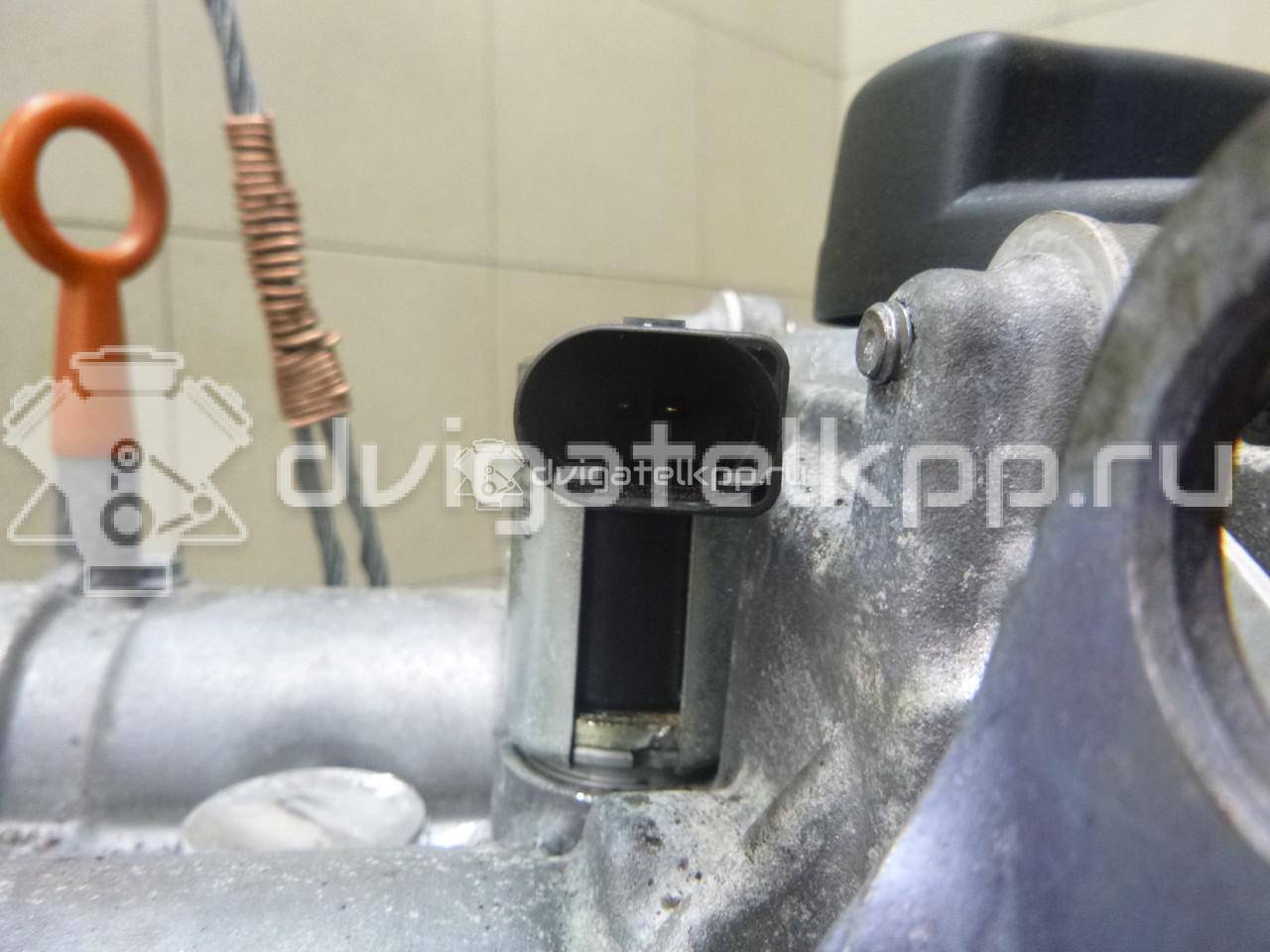 Фото Контрактный (б/у) двигатель BTS для Volkswagen / Skoda / Seat 105 л.с 16V 1.6 л бензин 03C100034T {forloop.counter}}