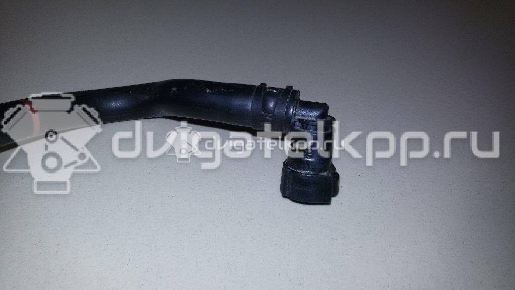 Фото Шланг топливный для двигателя BTS для Volkswagen / Skoda / Seat 105 л.с 16V 1.6 л бензин 036133514E {forloop.counter}}