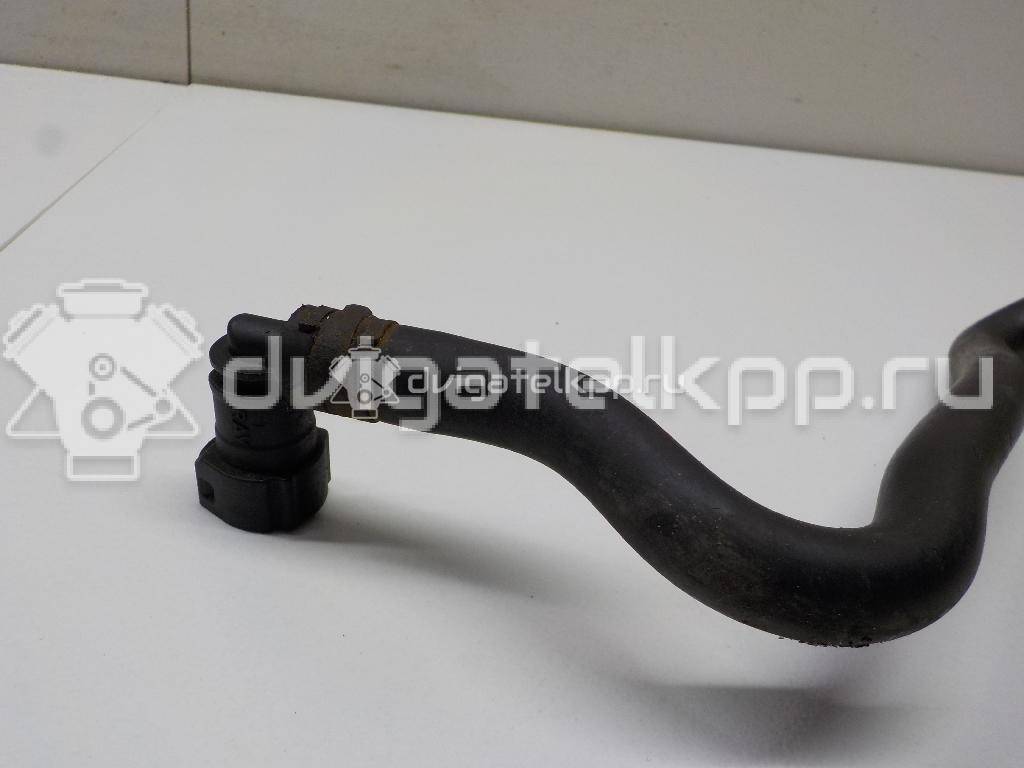 Фото Шланг топливный для двигателя BTS для Volkswagen / Skoda / Seat 105 л.с 16V 1.6 л бензин 036133514E {forloop.counter}}