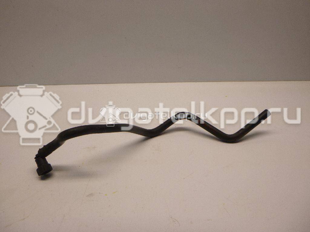 Фото Шланг топливный для двигателя BTS для Volkswagen / Skoda / Seat 105 л.с 16V 1.6 л бензин 036133514E {forloop.counter}}
